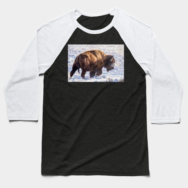 Fortitude - Bison in Snow Baseball T-Shirt by StacyWhite
